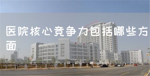 醫(yī)院核心競(jìng)爭(zhēng)力包括哪些方面(圖1)