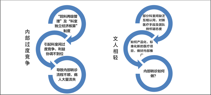醫(yī)療延伸服務產品化創(chuàng)新項目咨詢建議書(圖6)