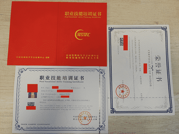 專業(yè)人才職業(yè)能力證書